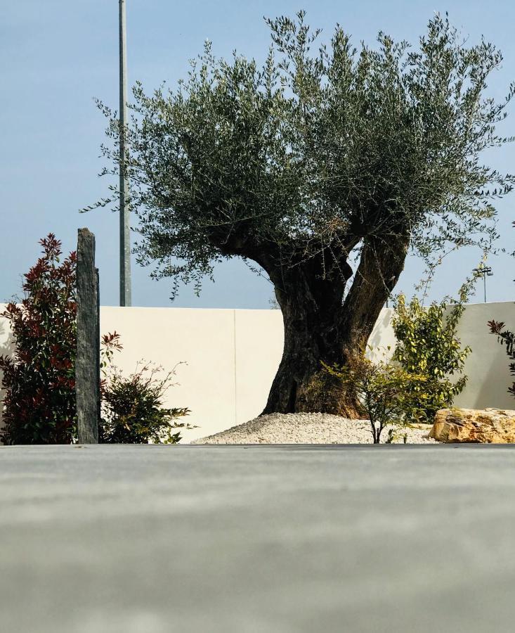 L'Oasis Vendargues Acomodação com café da manhã Exterior foto
